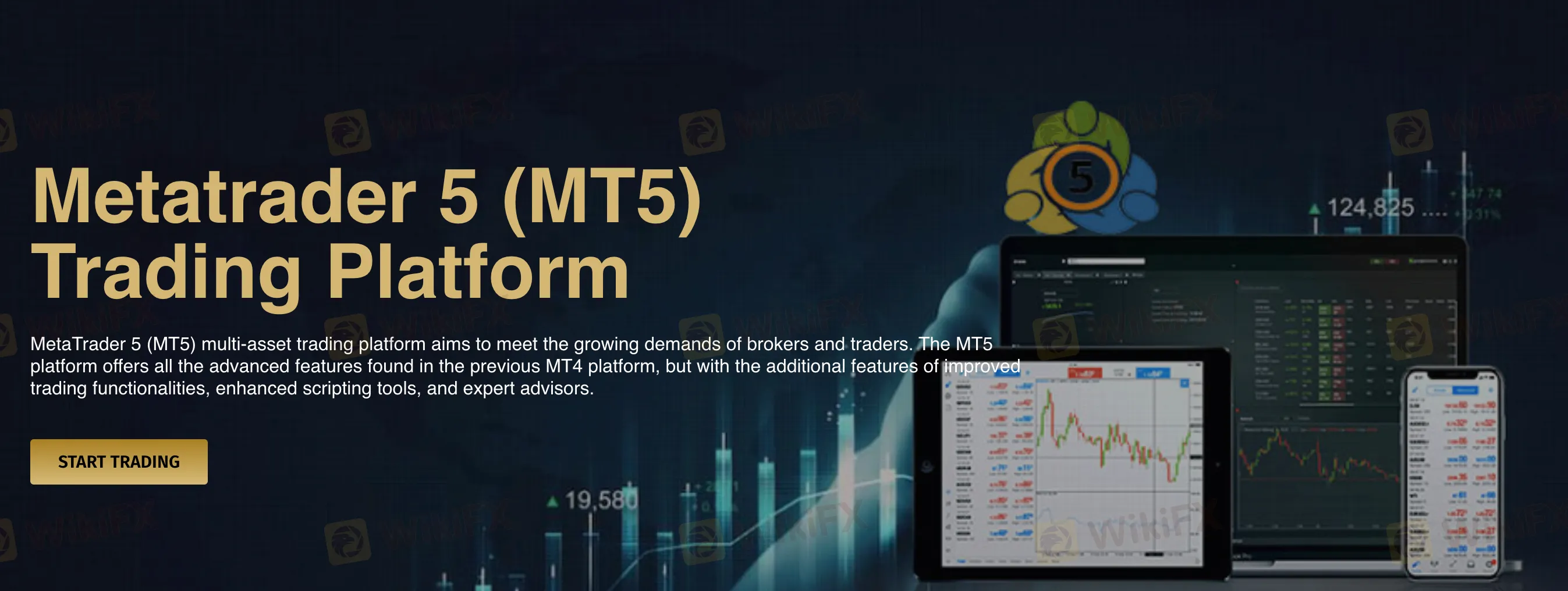 trading-platform