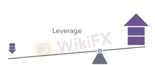 leverage leverage