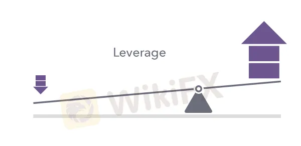 leverage 