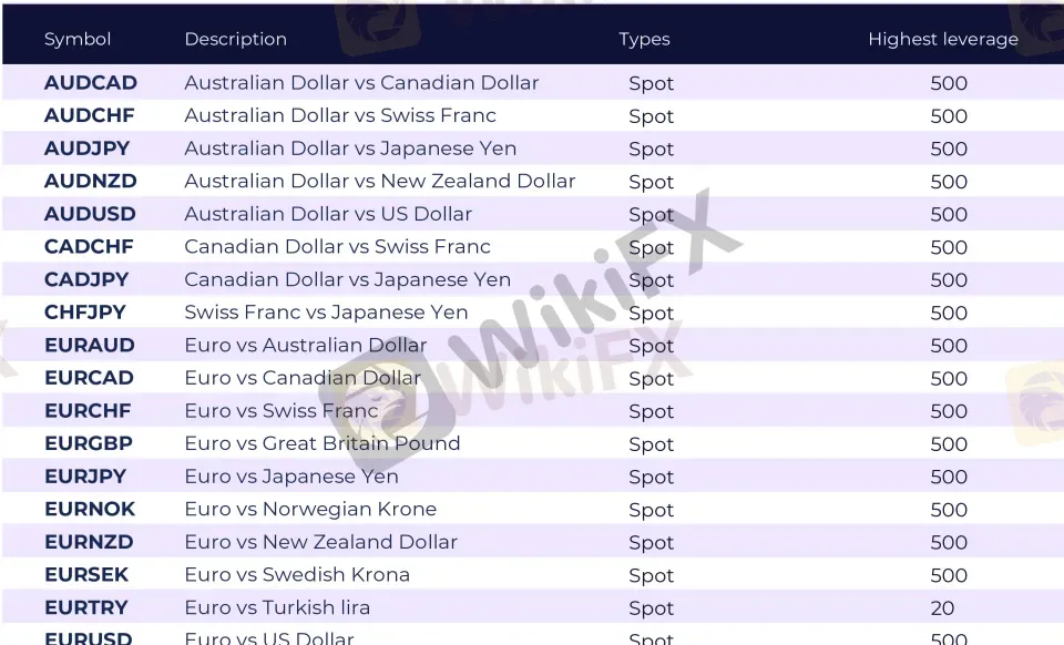 Leverage details