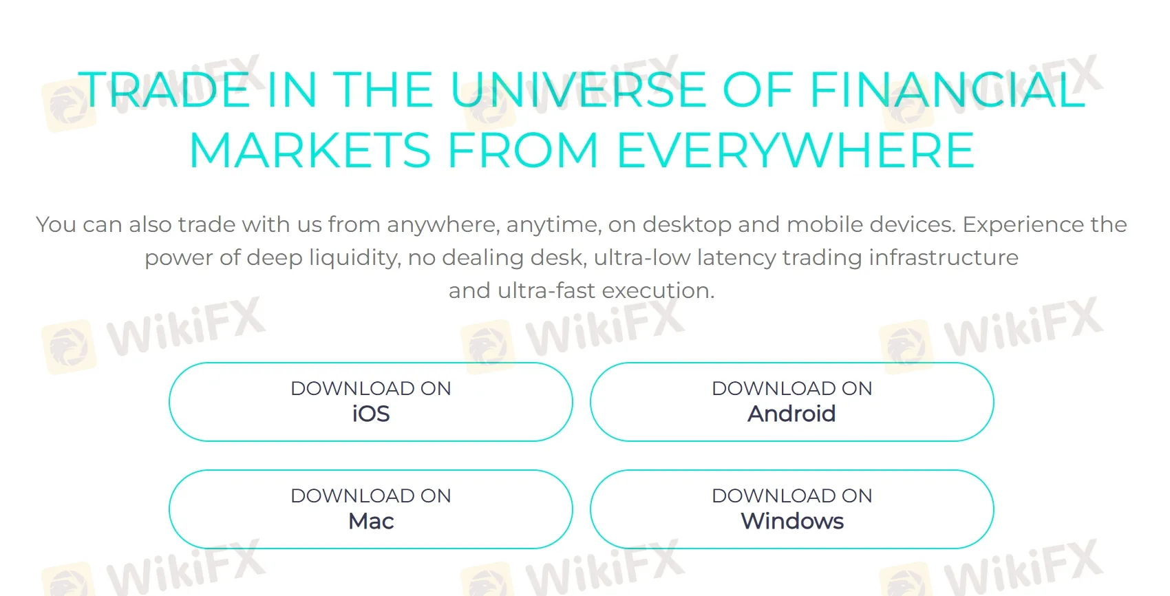 WebTrader WebTrader