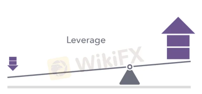 leverage leverage