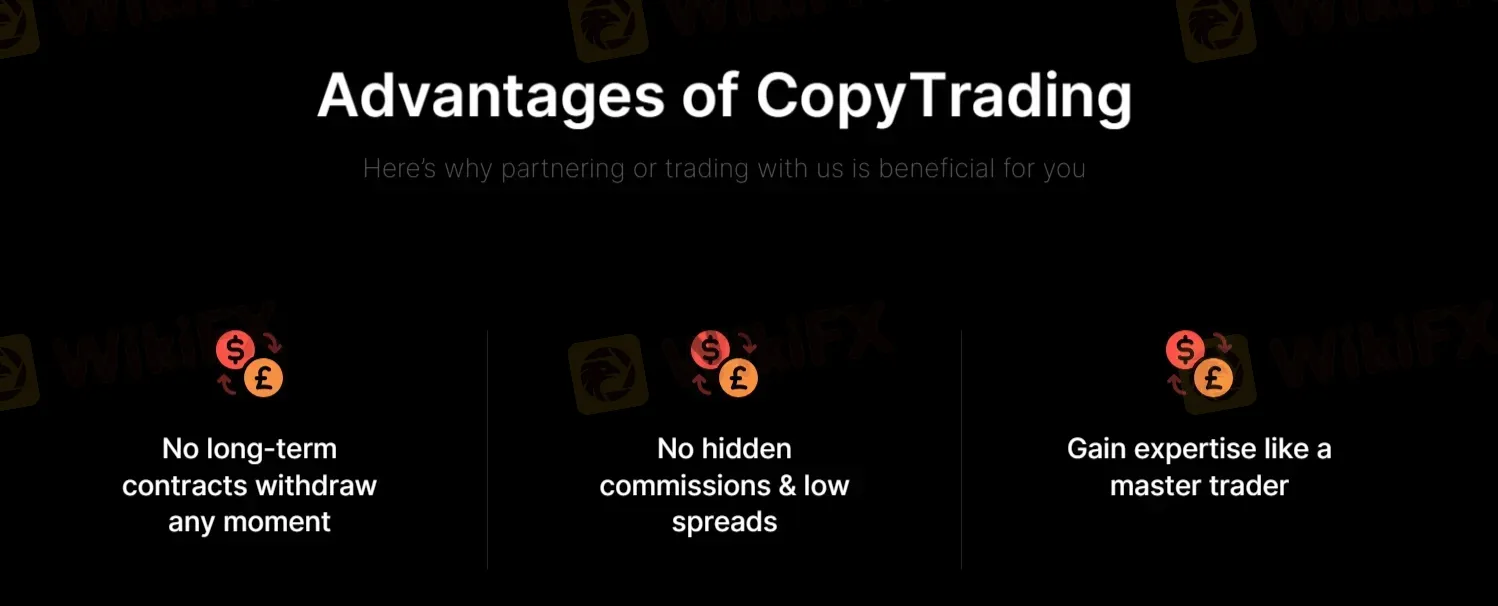 copy-trading copy-trading