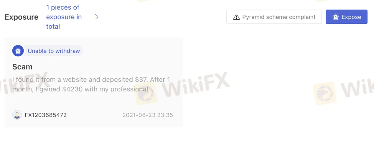 reviews reviews