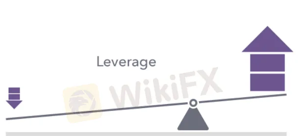 leverage leverage