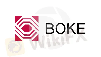 Обзор BOKE