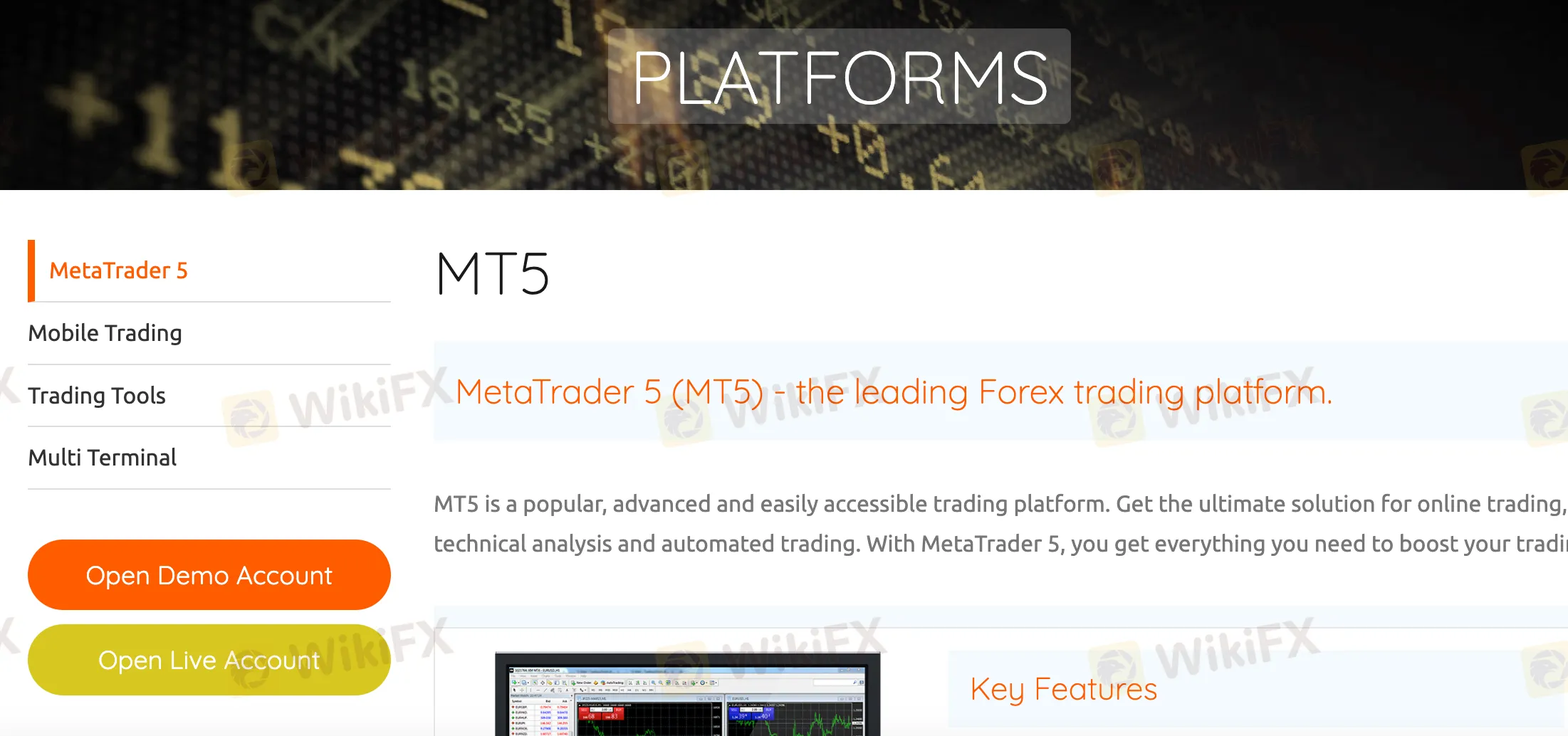 Plataformas de Trading