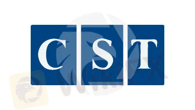ภาพรวมของ CST ภาพรวมของ CST