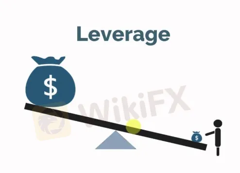 Leverage