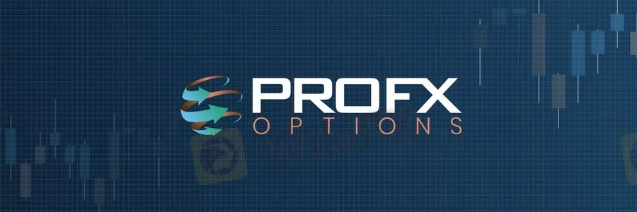 Overview of Pro FX Capital Overview of Pro FX Capital