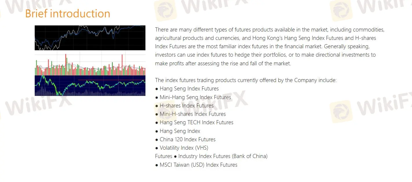 Futures dan Options