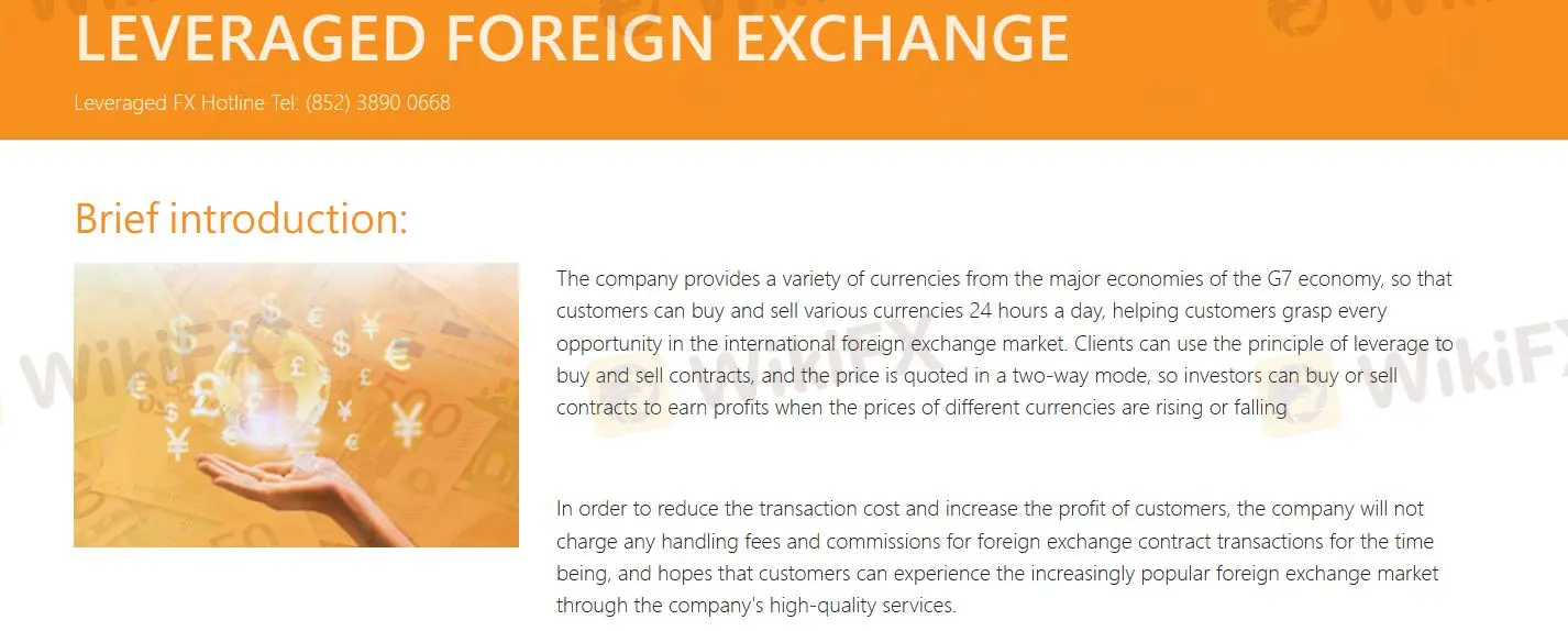 Leveraged Foreign Exchange