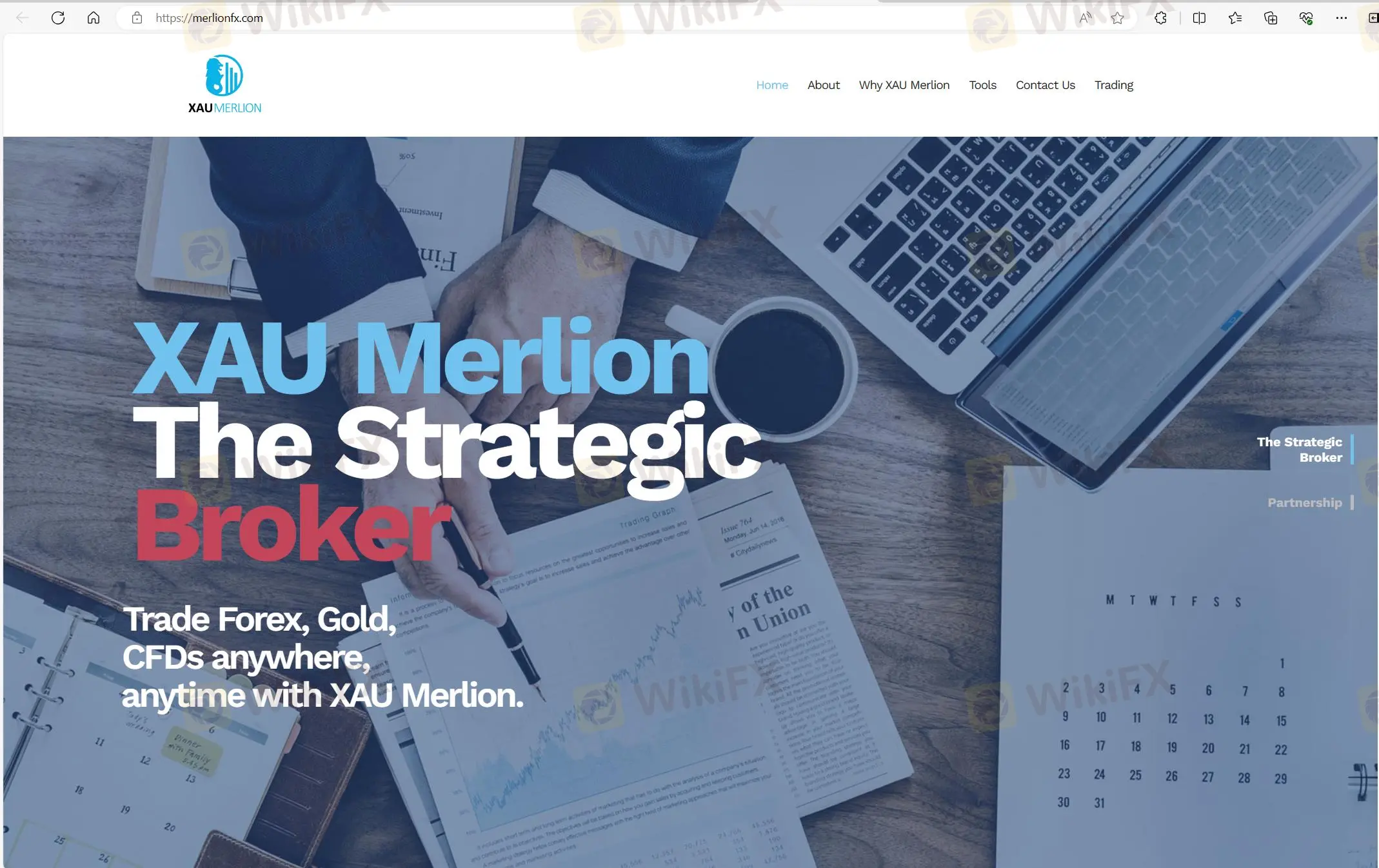 XAU Merlion Financial의 홈페이지