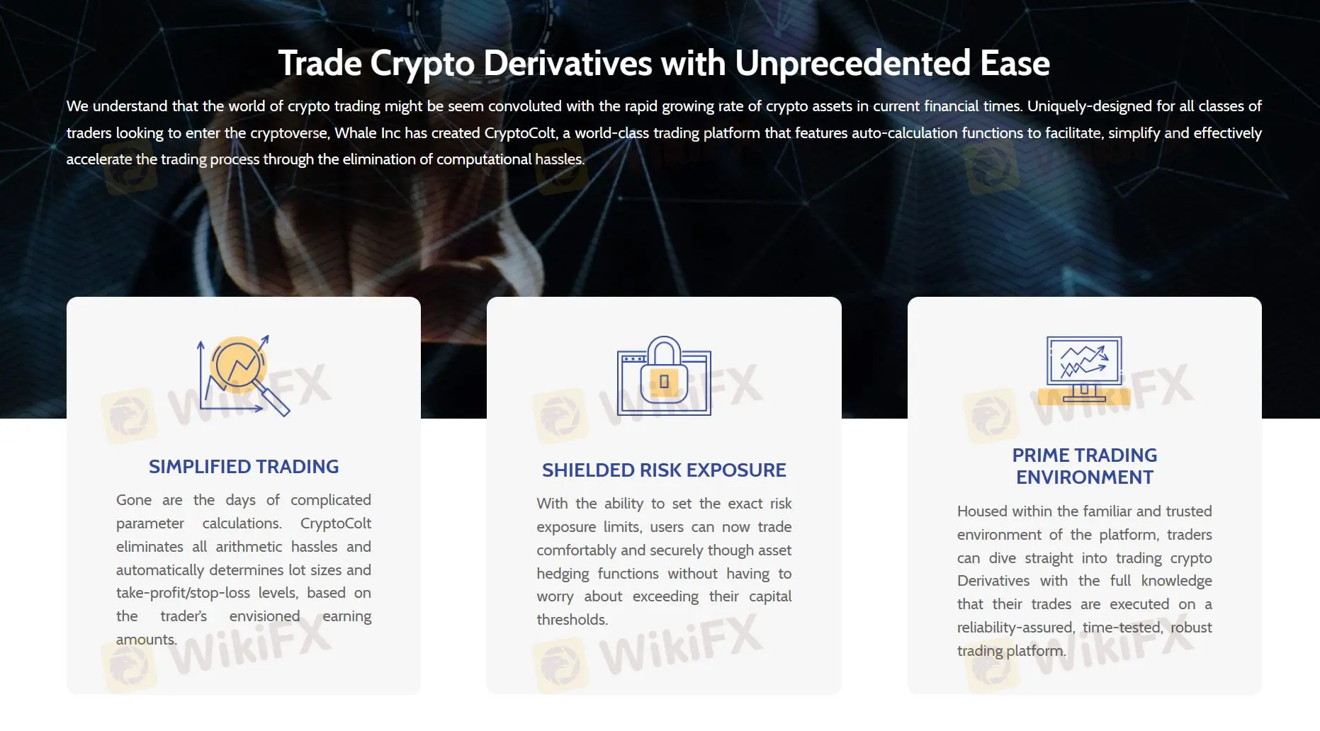 CryptoColt CryptoColt