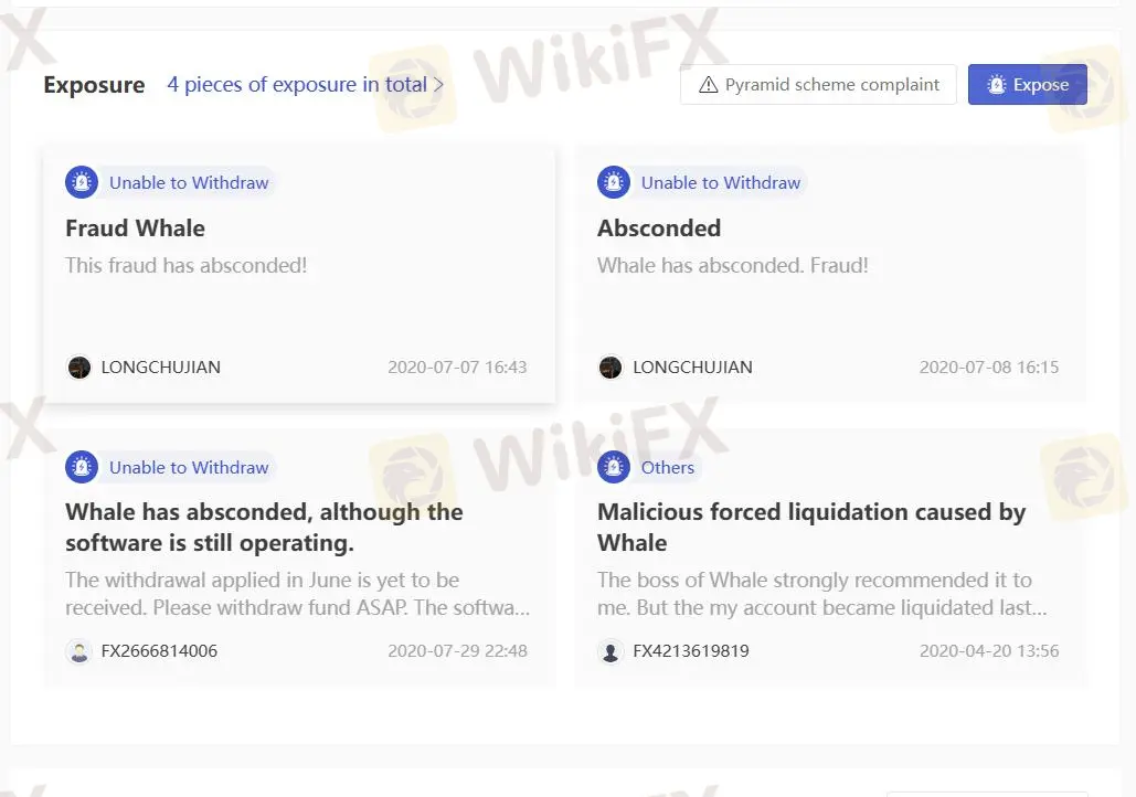 Exposition des utilisateurs sur WikiFX