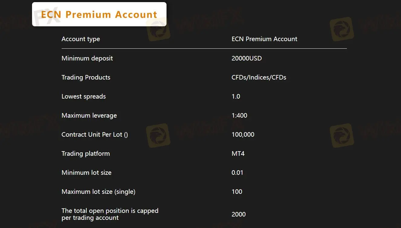 ECN 프리미엄 계정