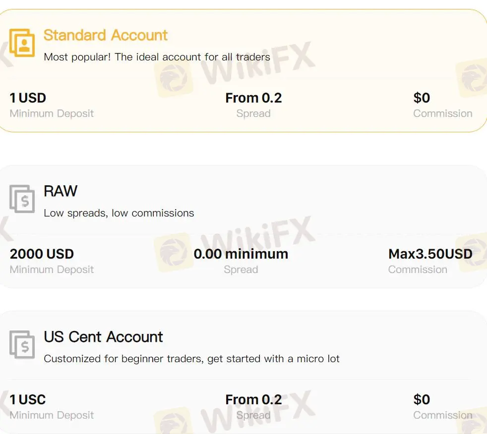 Account Types