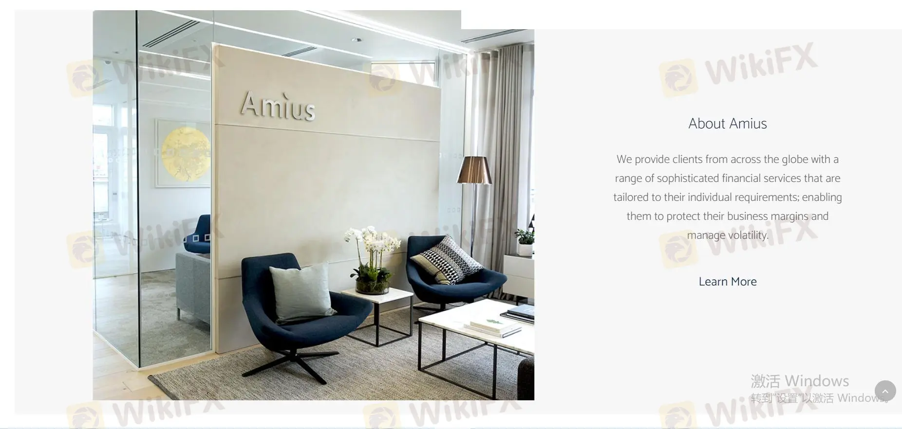 Overview of Amius