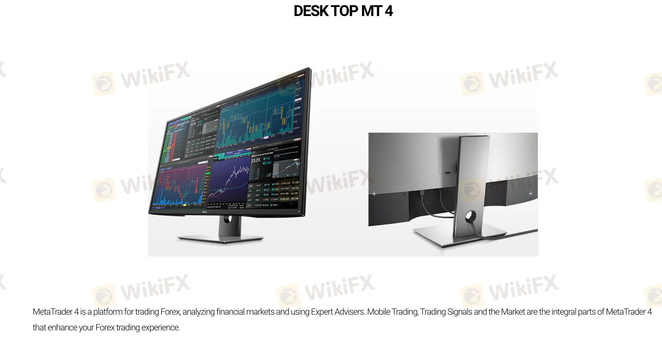 Plataforma de Trading