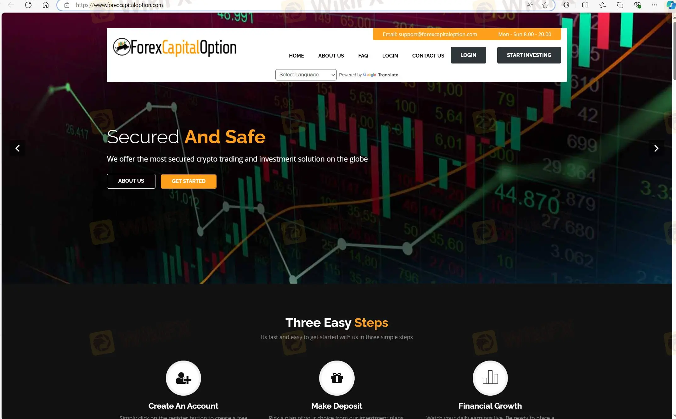 ForexCapitalOption의 홈페이지