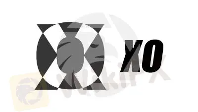 XO 信息