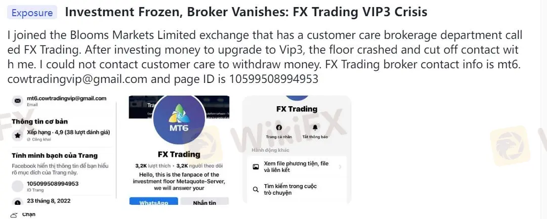 Ulasan Negatif BLOOMS MARKETS di WikiFX