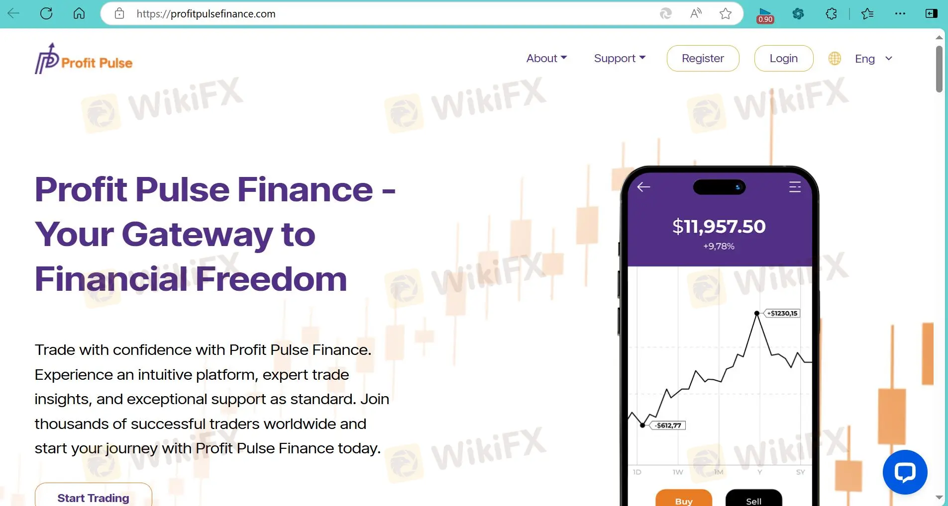 Profit Pulse Resumo da Revisão