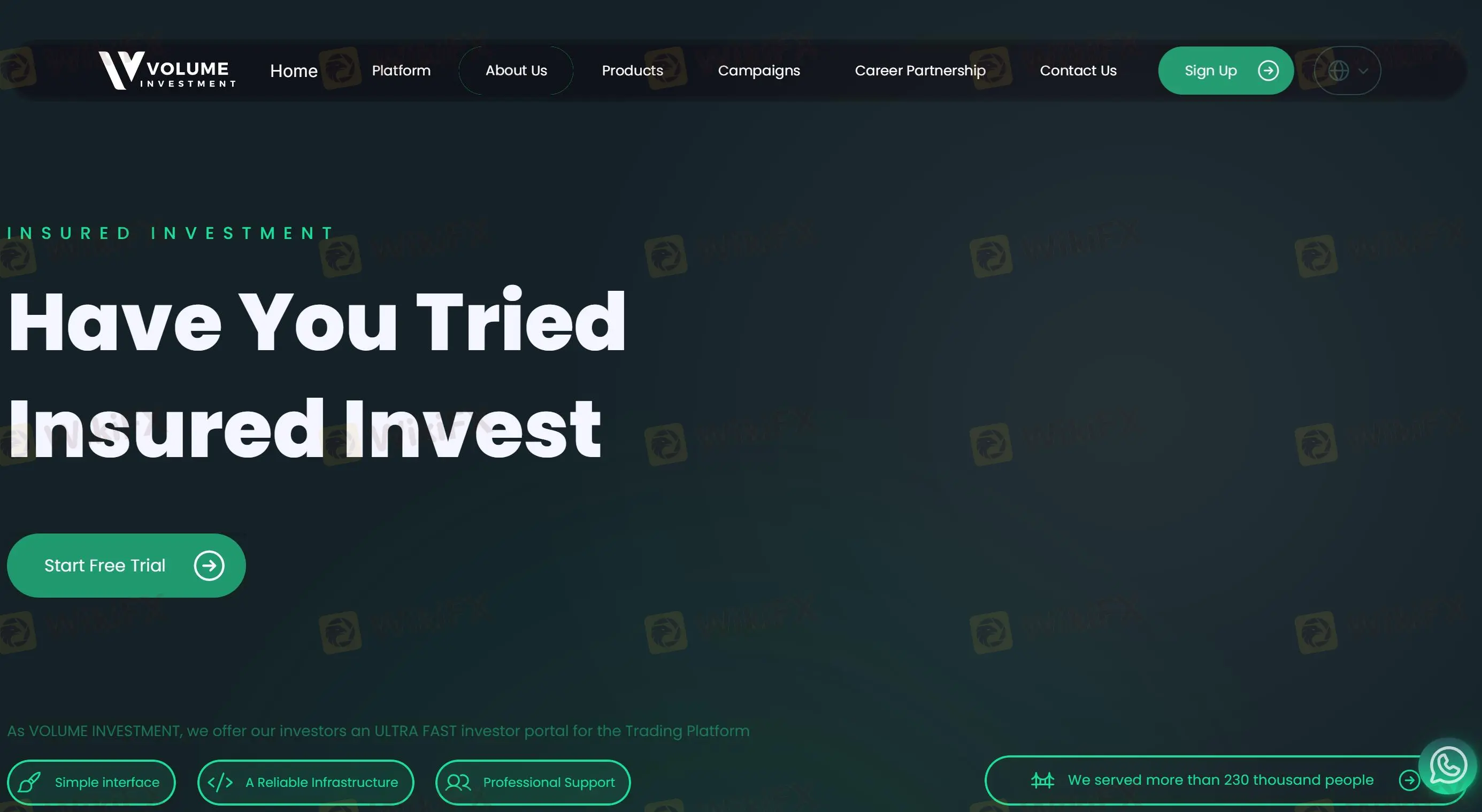 Volume Investment Information