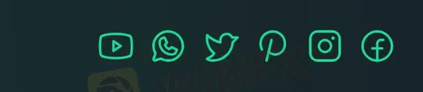 Customer Support Options