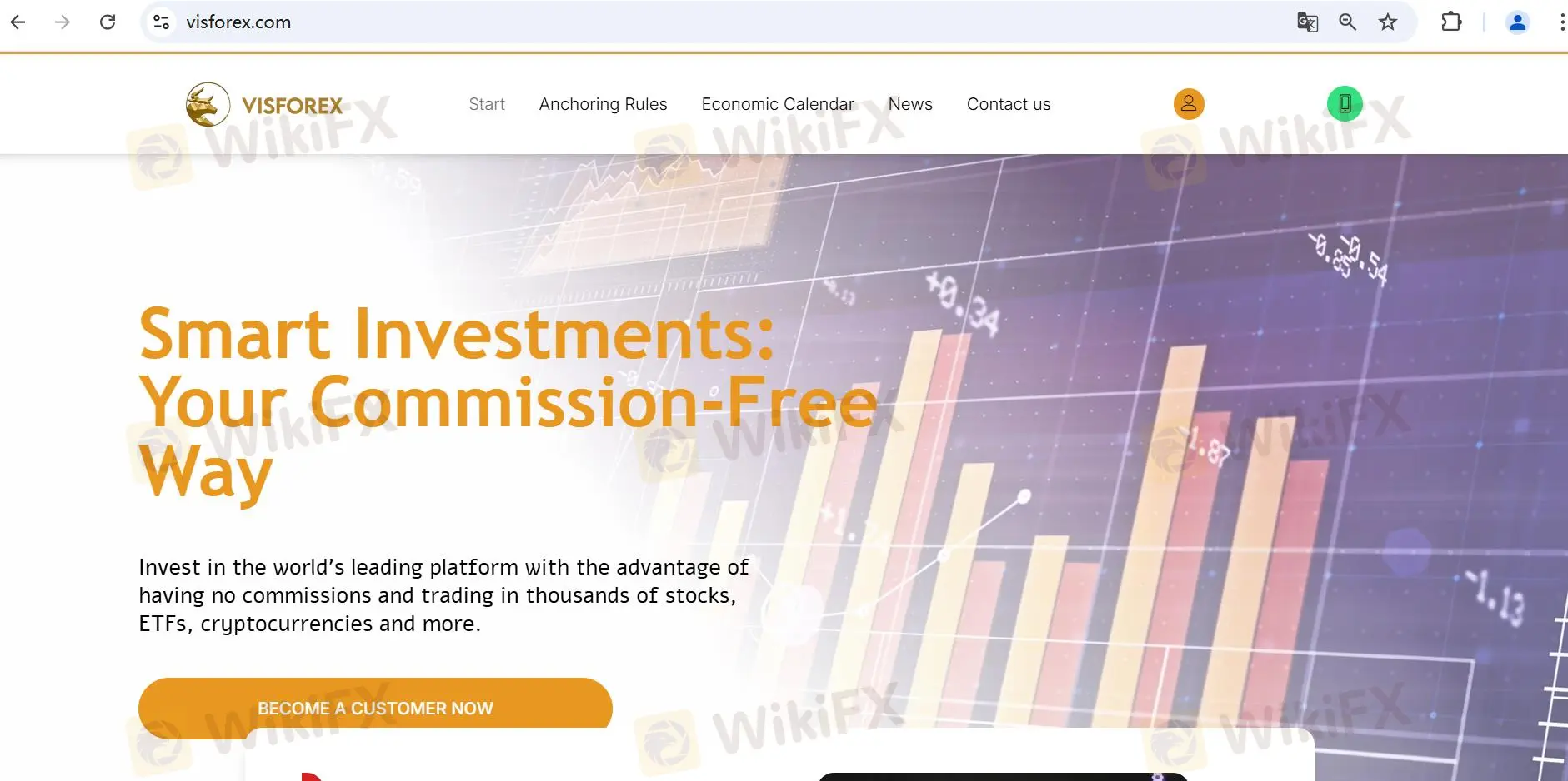 Visforex's homepage