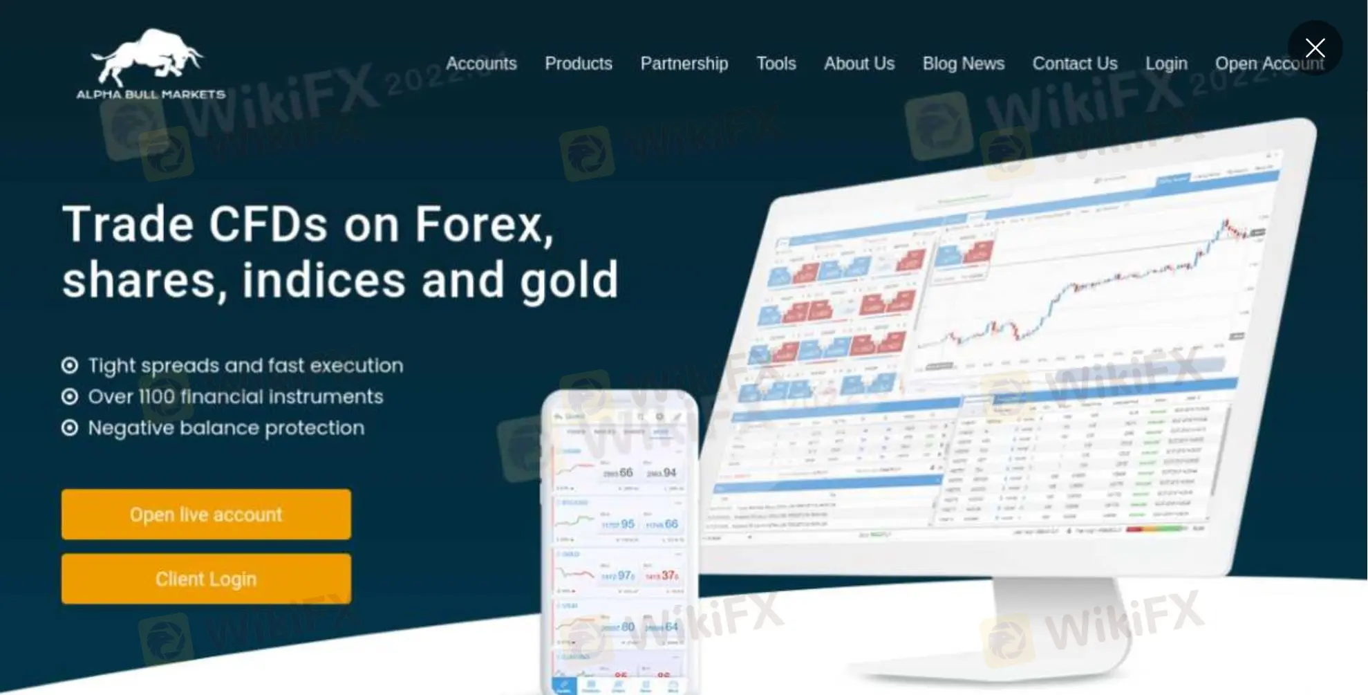 Alpha 牛市s信息