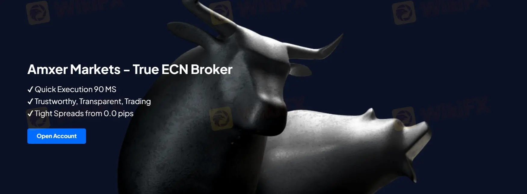Amxer Markets 信息