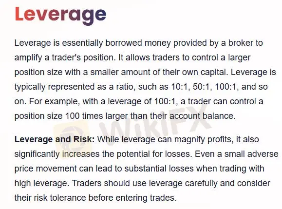 Leverage