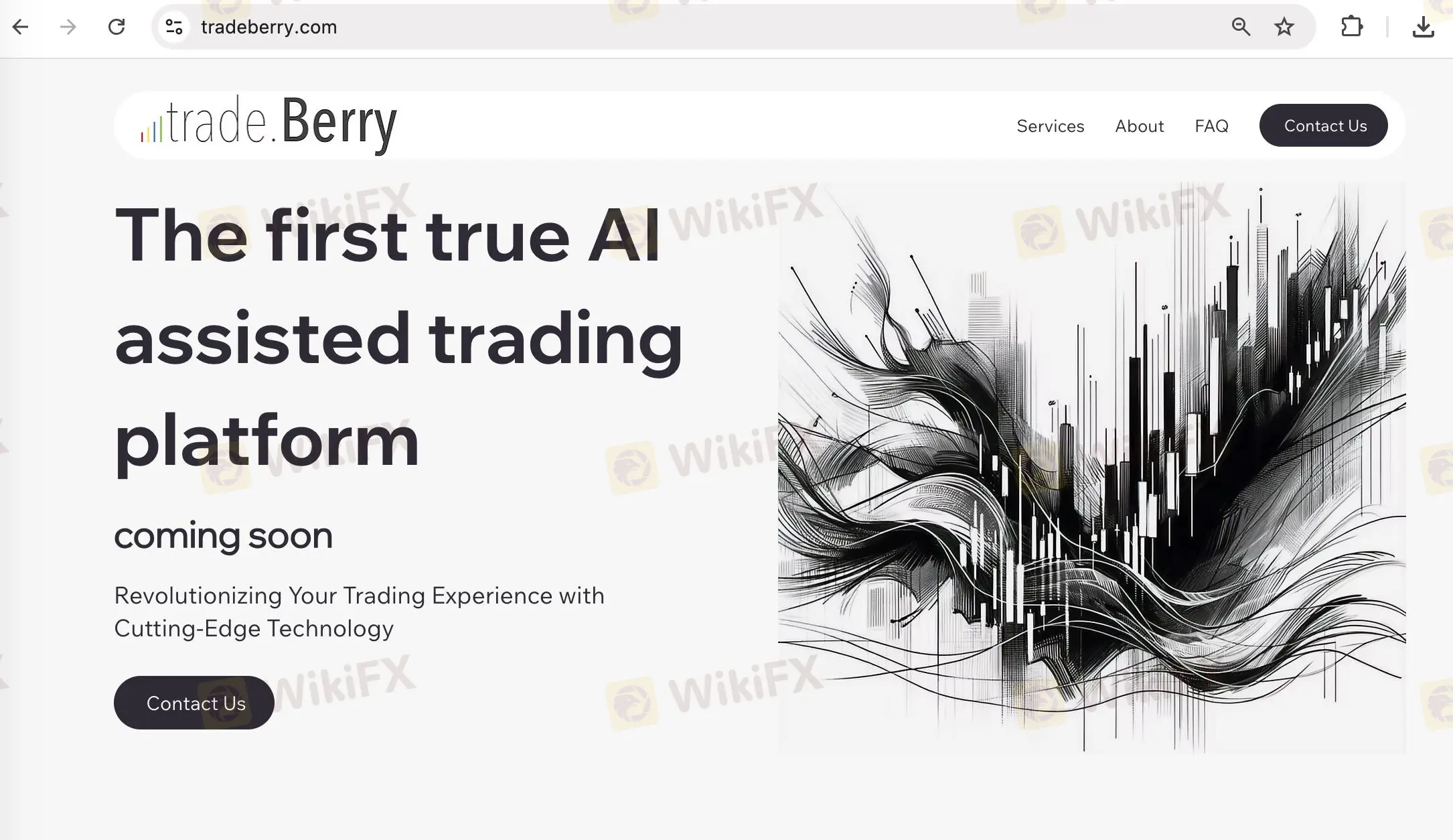 Tradeberry's homepage