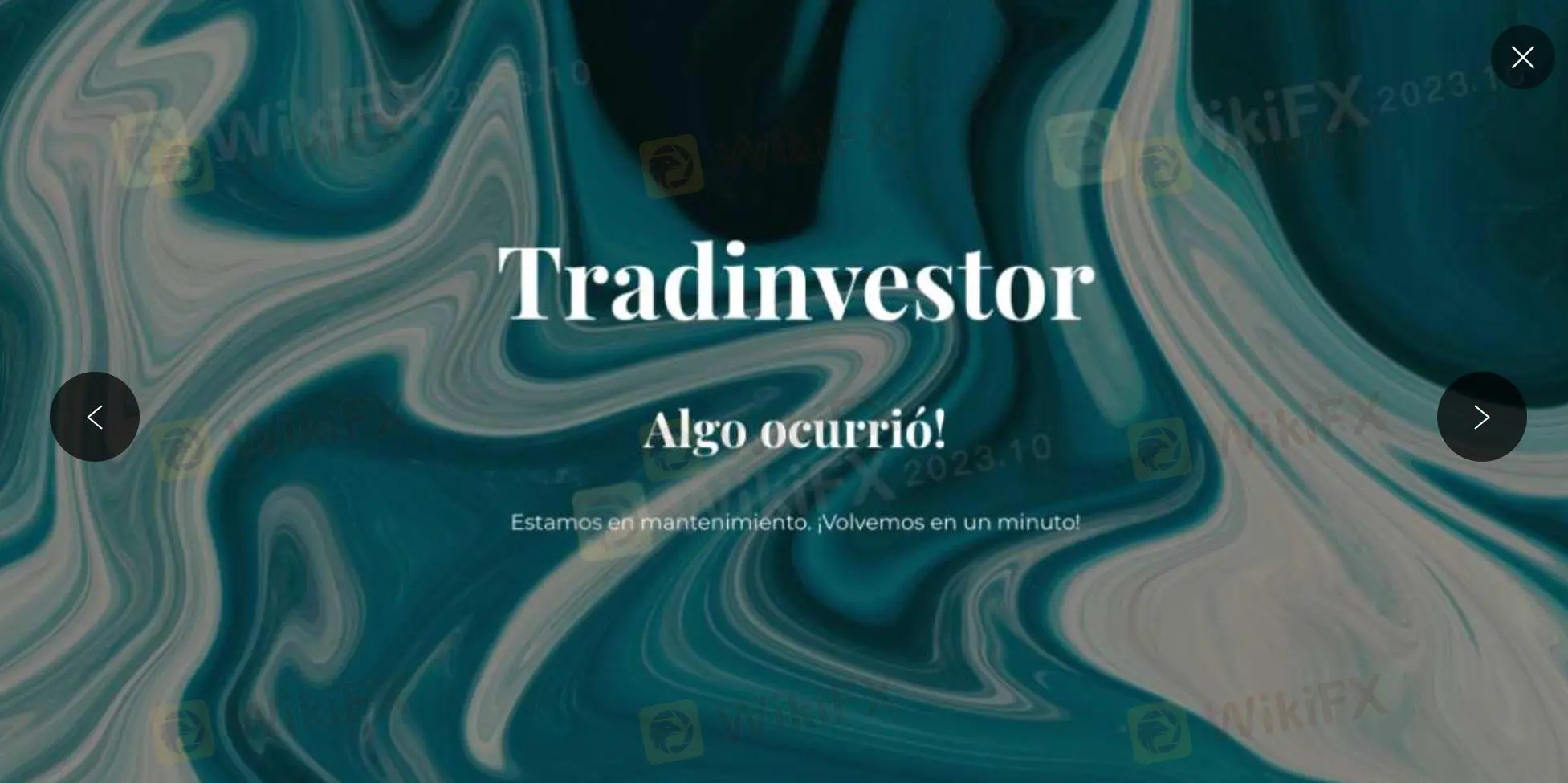 TradInvestor Information