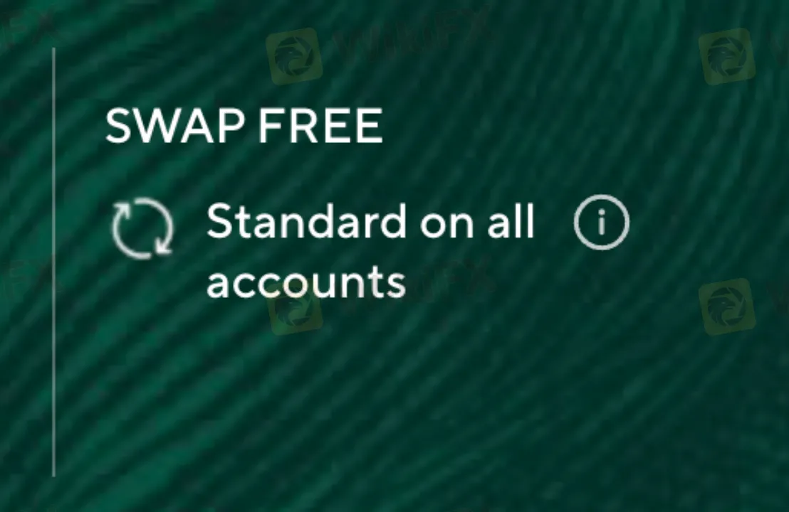 QT Fees