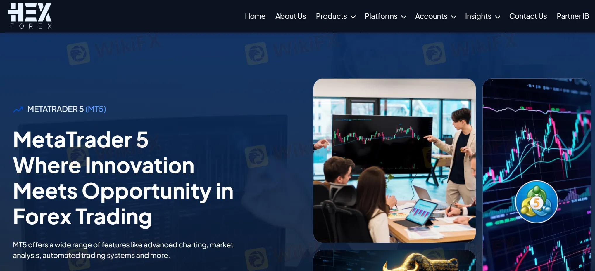 Hexforex Information