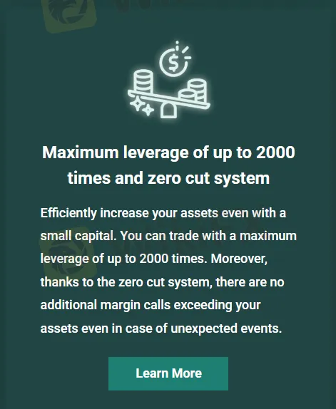 Leverage