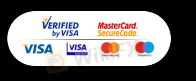 Opciones de pago de BRIGHTWIN
