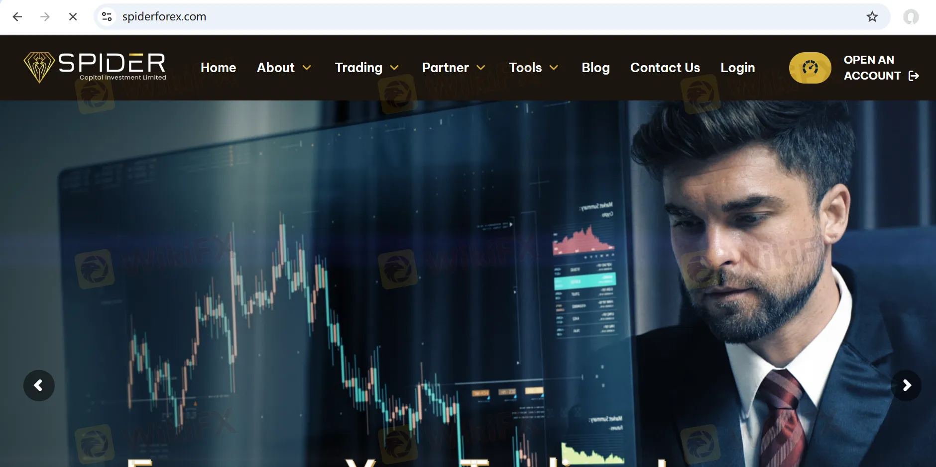 Spider Forex Information