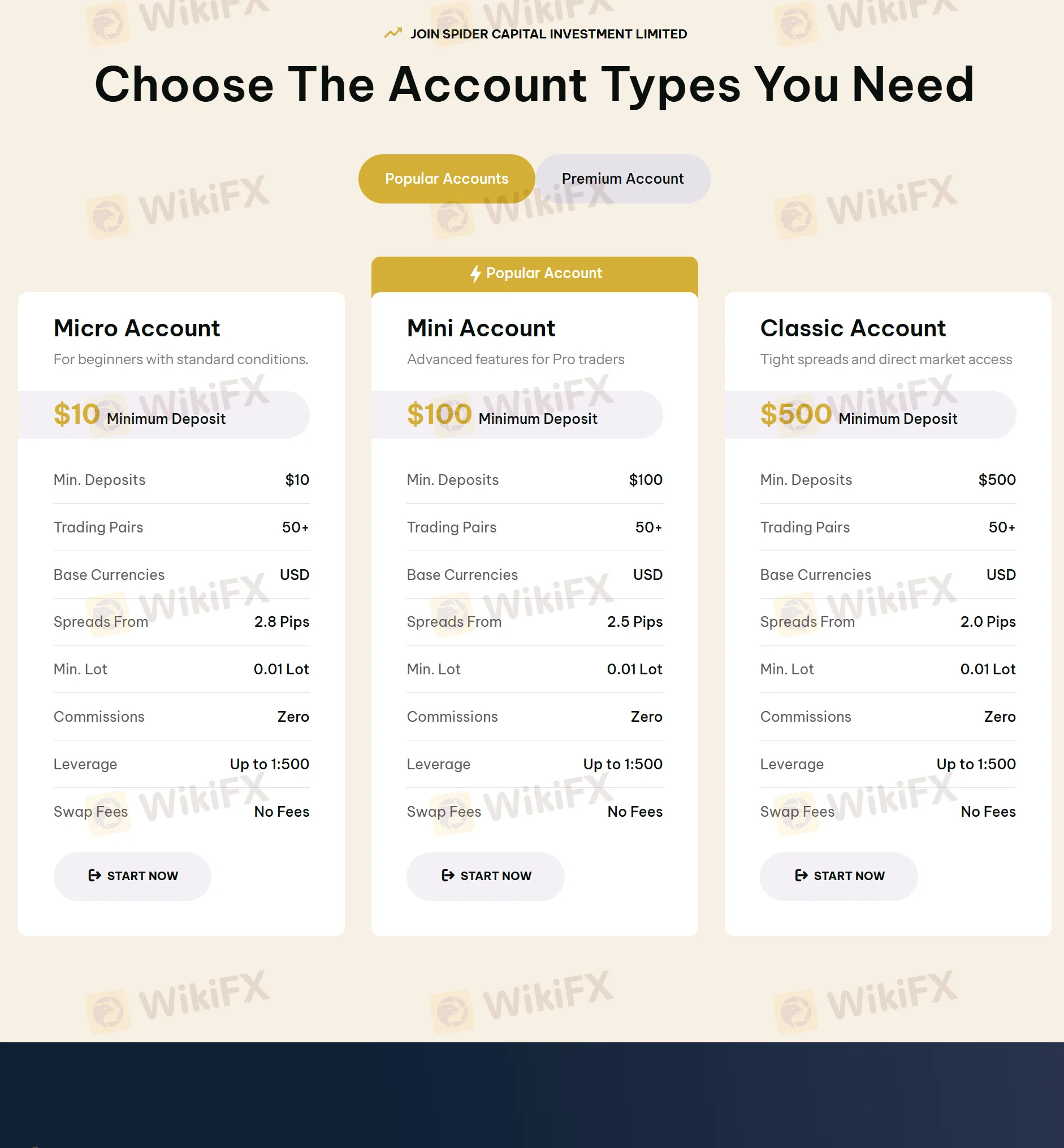 Account Type
