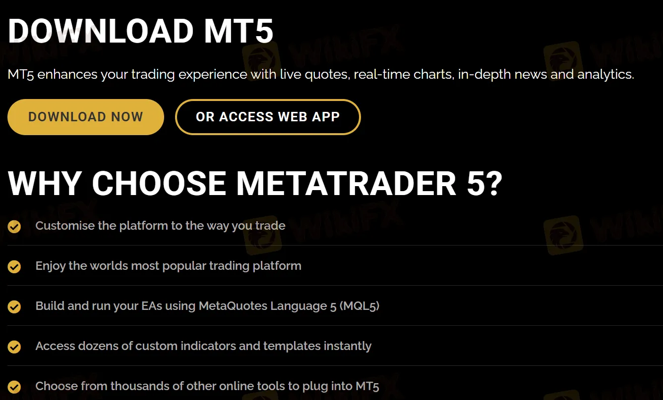 MT5