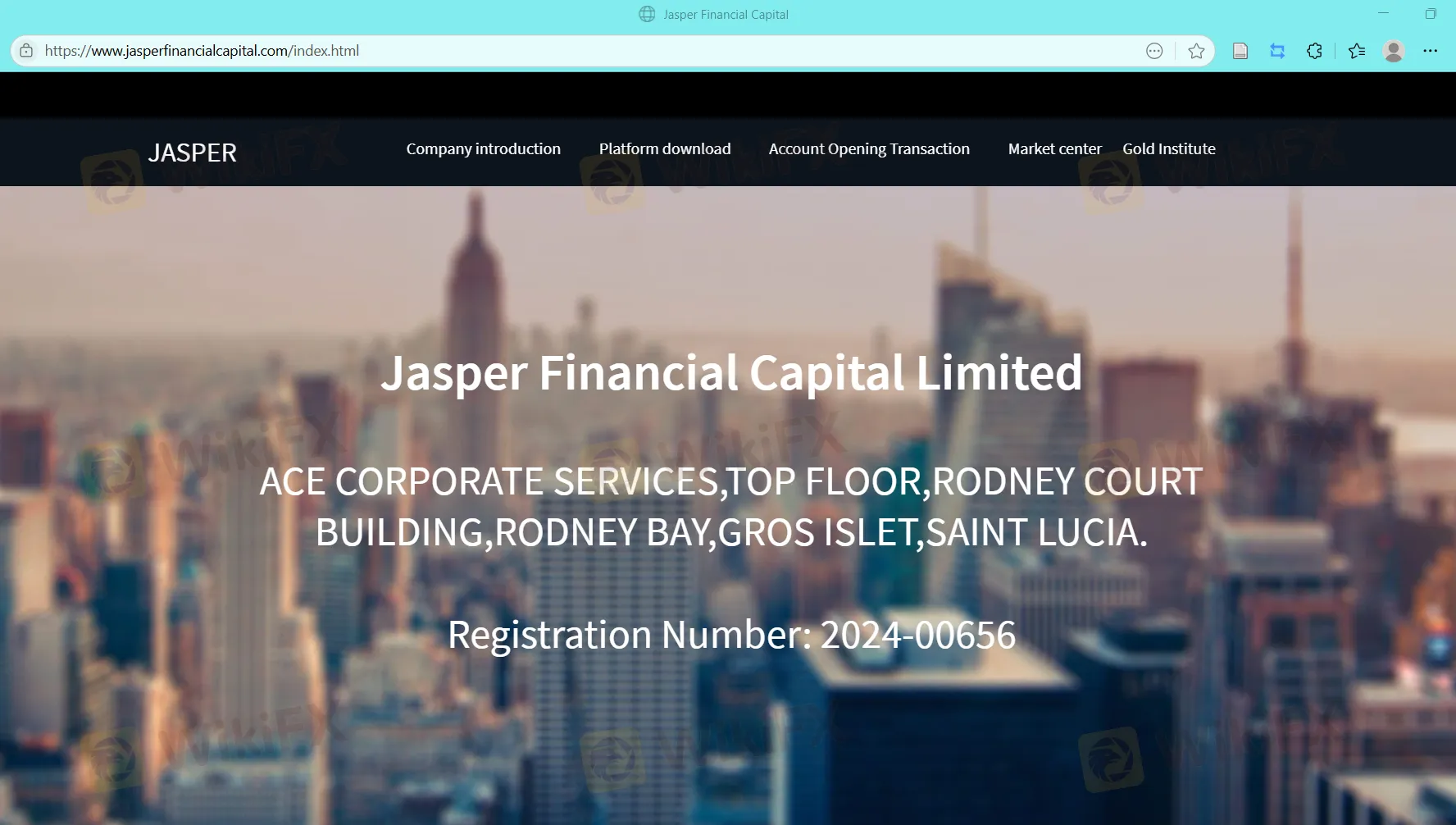 Jasper Informationen