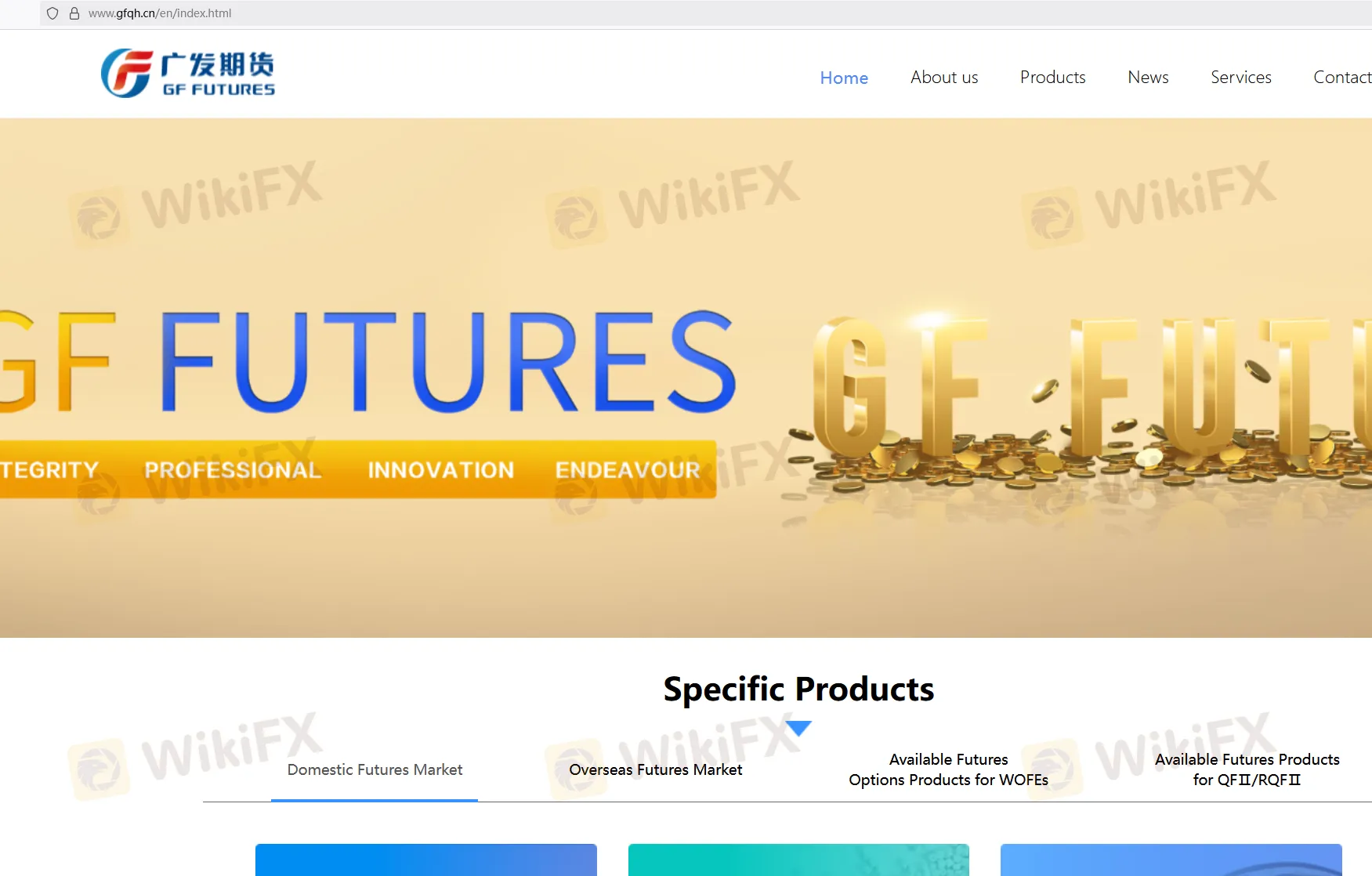 GF Futures Information
