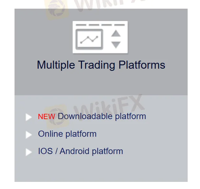 OptionWeb 平台