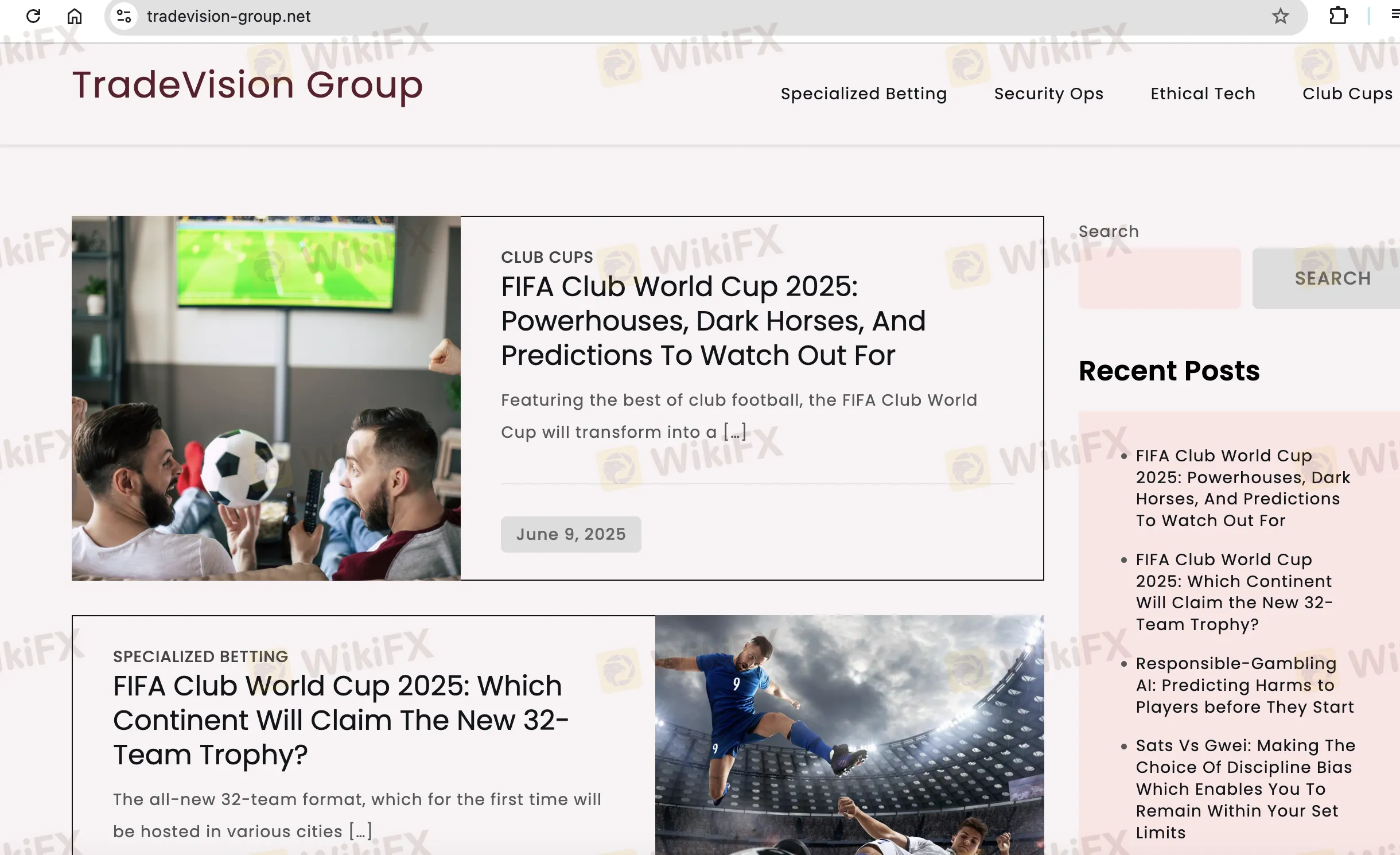 Trade Vision Group's homepage