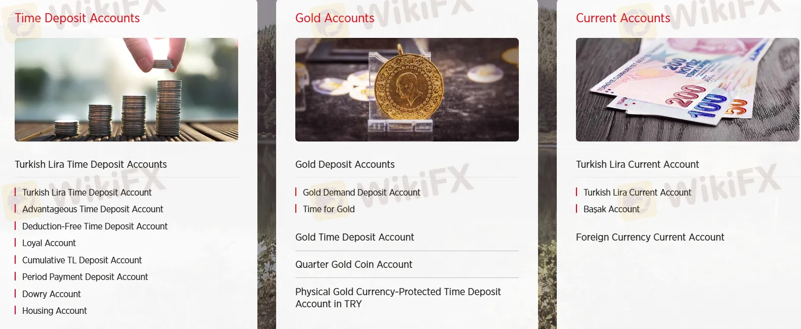 Account Types