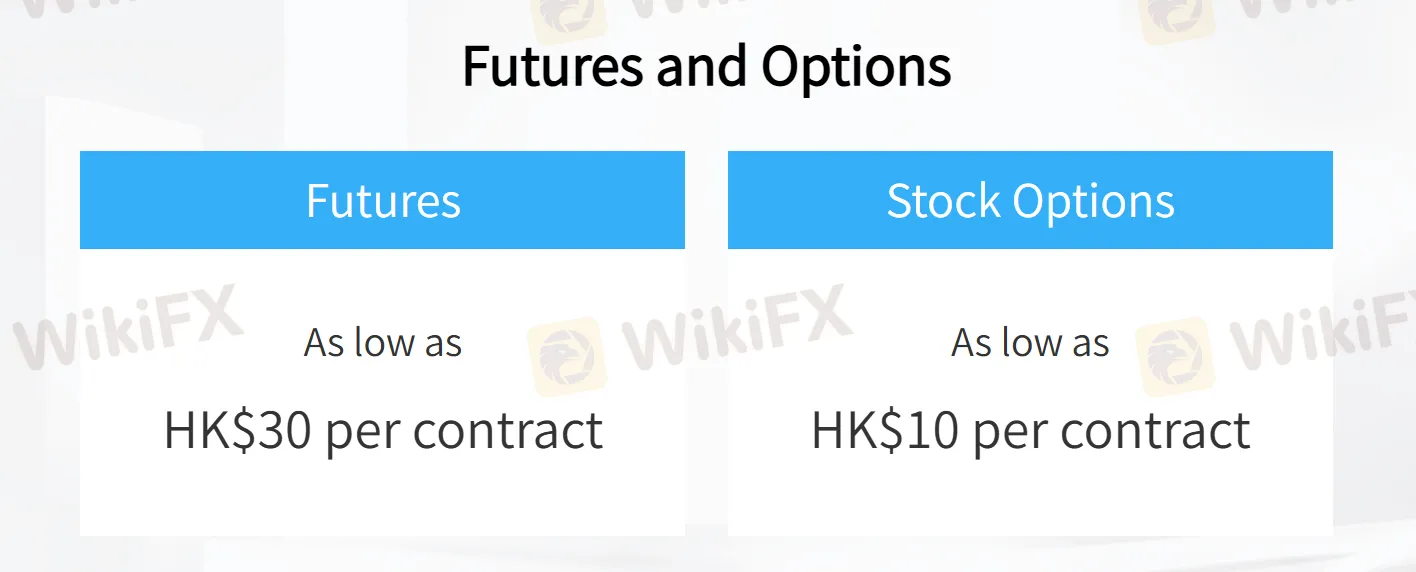 TG Fees