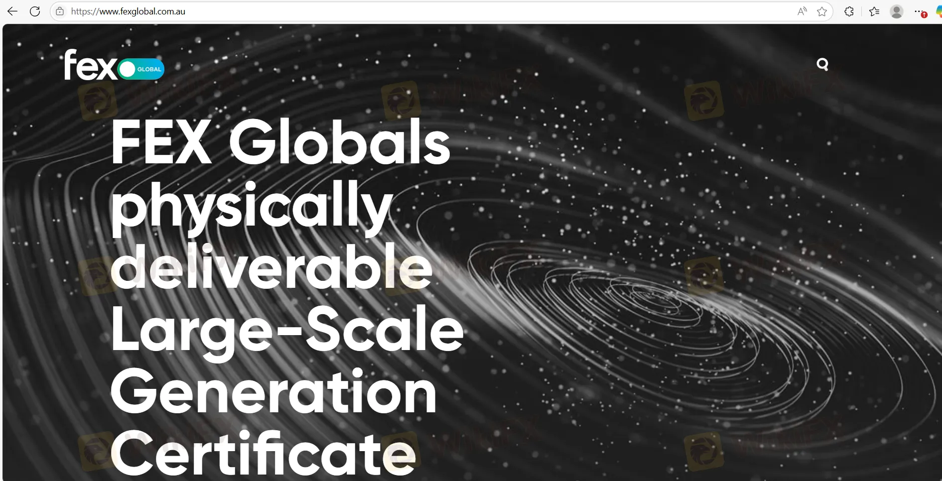 FEX Global Information