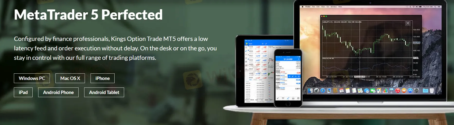 MT5 platform